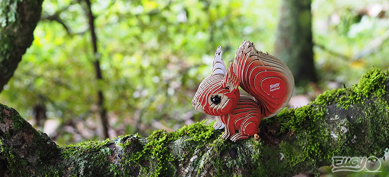 EUGY 3D mudel "Orav"