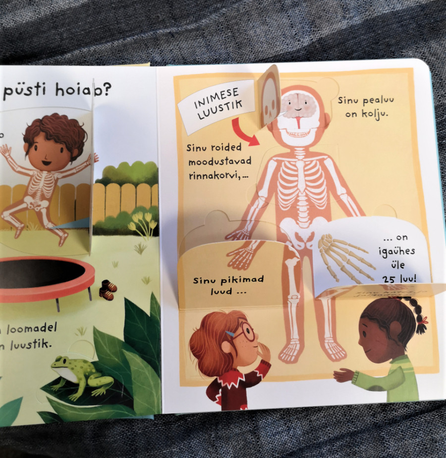 Raamat "Mis on minu sees? Esimesed küsimused ja vastused. Klapiraamat"