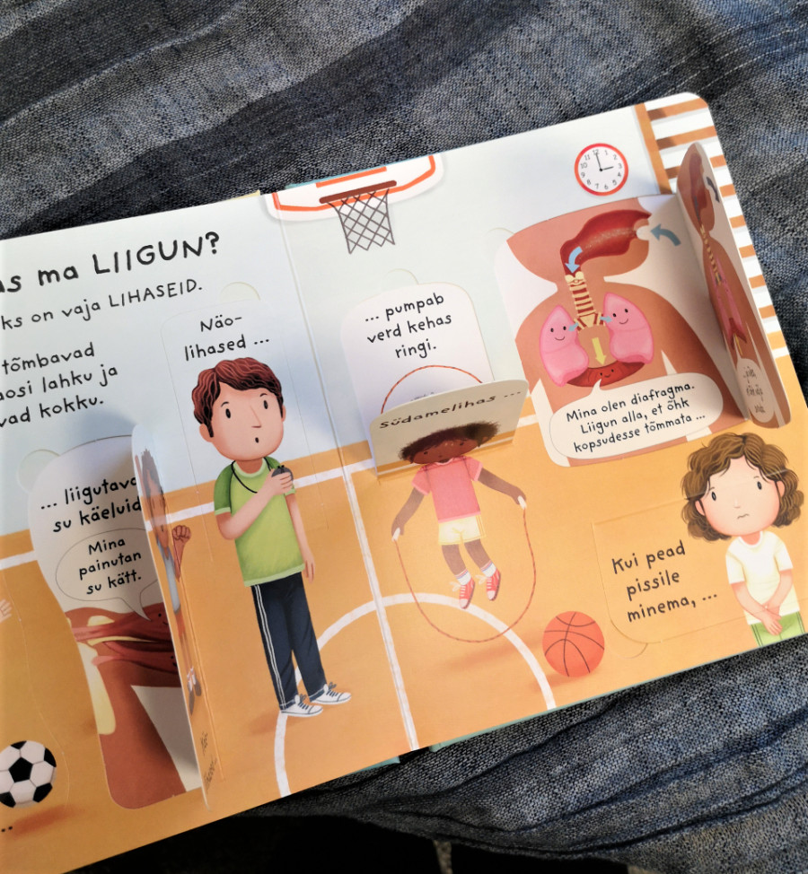 Raamat "Mis on minu sees? Esimesed küsimused ja vastused. Klapiraamat"