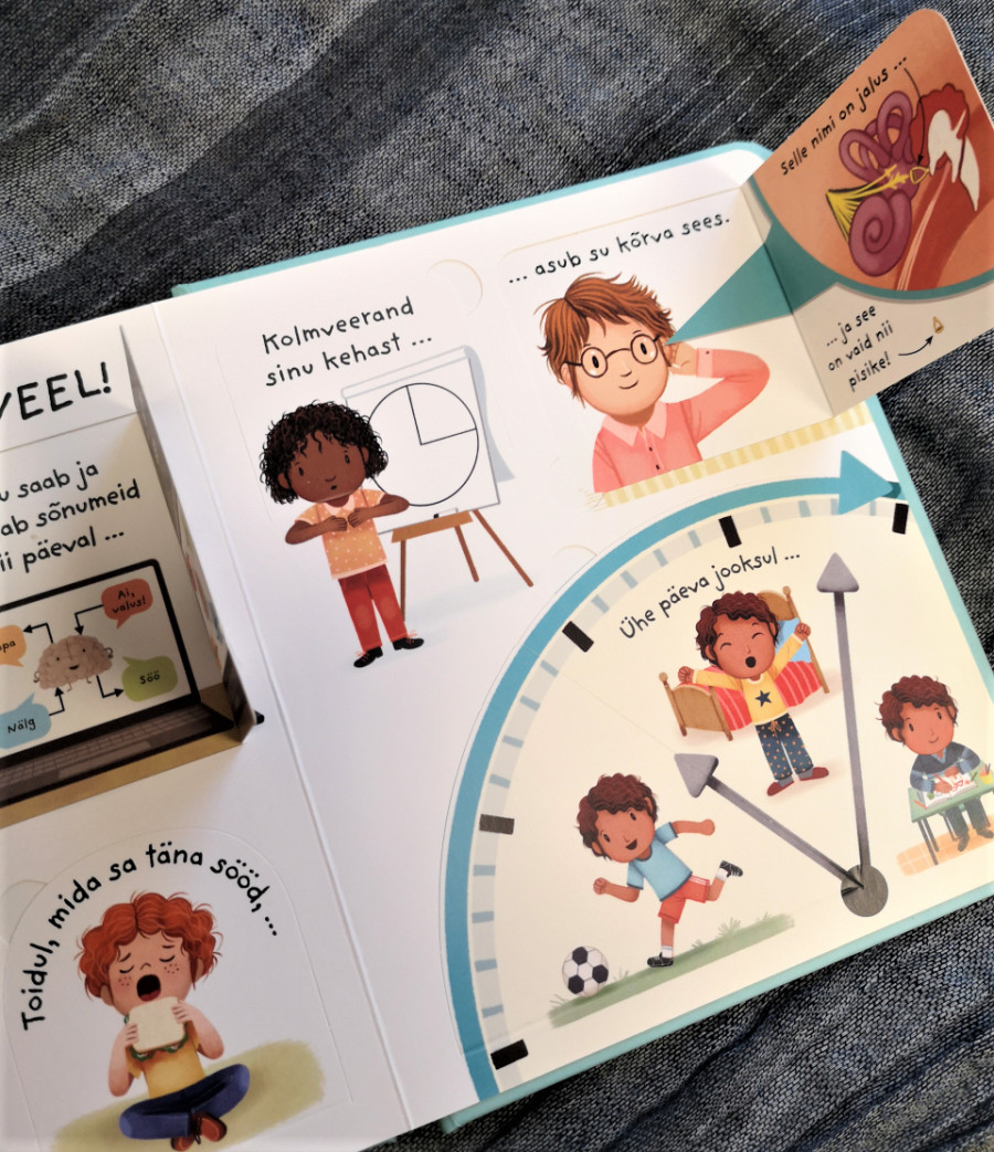 Raamat "Mis on minu sees? Esimesed küsimused ja vastused. Klapiraamat"