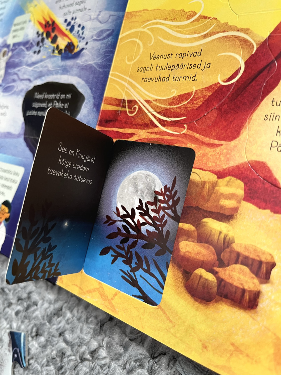 Raamat "Meie päikesesüsteem"